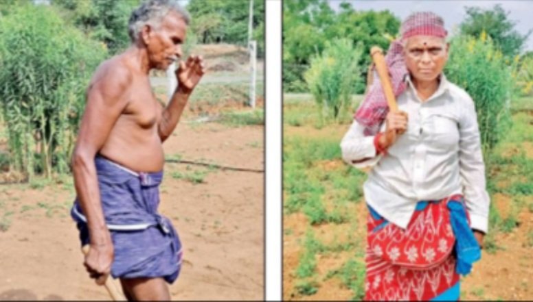 ପୁଅ କେନ୍ଦ୍ରମନ୍ତ୍ରୀ, ବିଲରେ ଖଟୁଛନ୍ତି ବାପା ଓ ମା