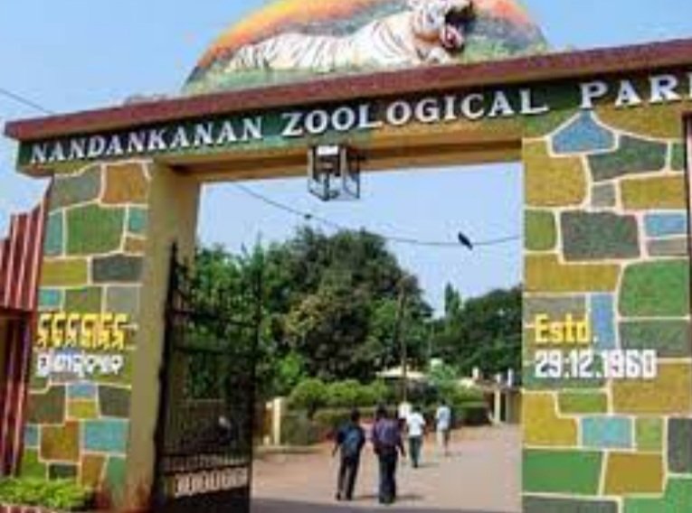 ମା’ହେବ ସିଂହୀ ‘ବିଜଲି’ 