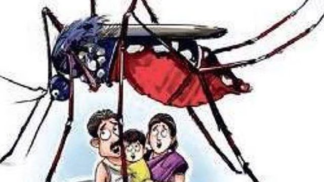 ‘ଦମନ’ ରୋକିପାରୁନି ମ୍ୟାଲେରିଆ, ବଢ଼ୁଛନ୍ତି ଆକ୍ରାନ୍ତ