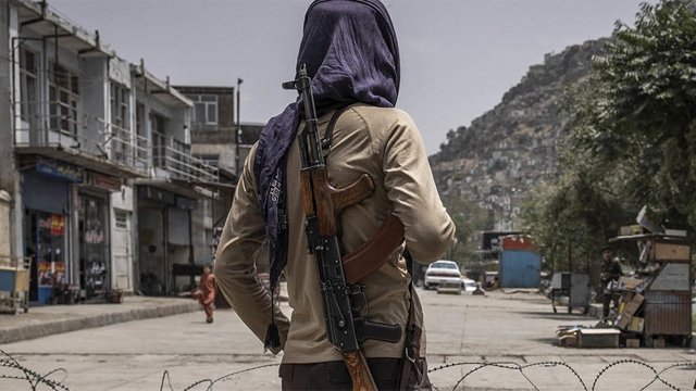 ଡାକ୍ତର ଏବଂ ଇଞ୍ଜିନିୟର ହେବା ପାଇଁ ପାଠ ପଢ଼ନ୍ତି, ତା'ପରେ ଦେଶ ବିରୋଧୀ ...