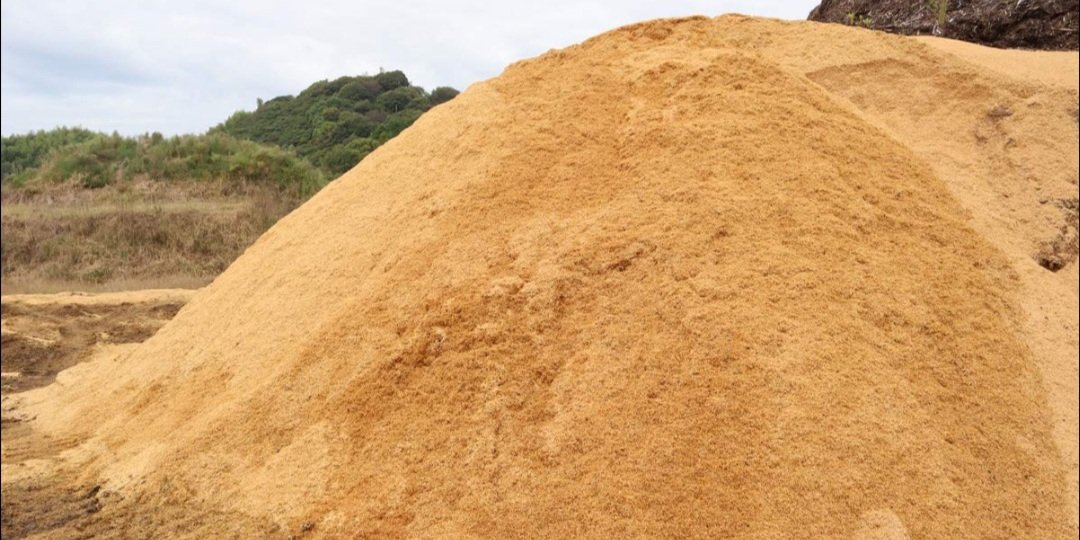 ଏଣିକି ସାରା ରାଜ୍ୟରେ ସମାନ ରହିବ ବାଲି ଦର