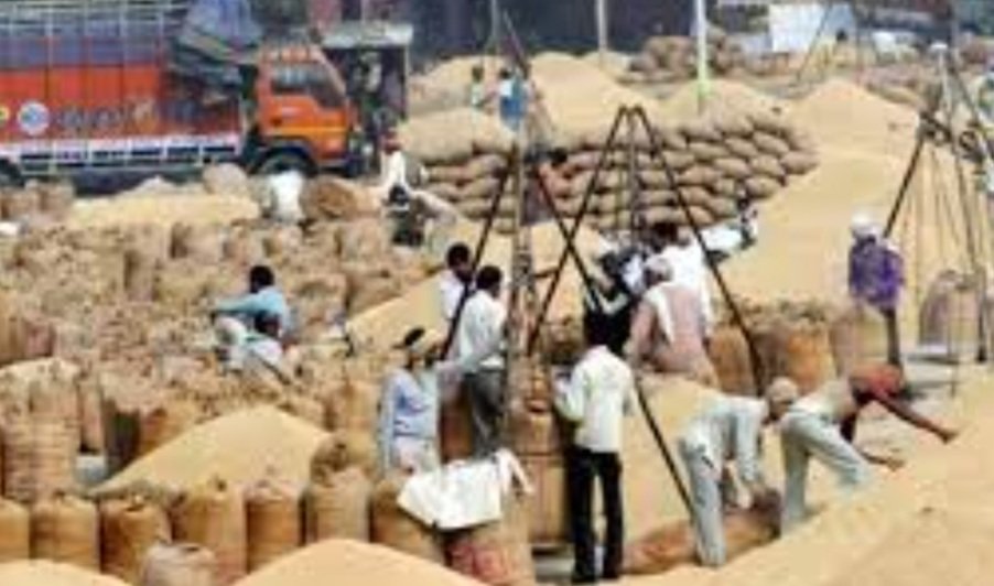 ମଣ୍ଡି ଖୋଲିବାର ପ୍ରଥମ ଦିନରେ ବିଲକୁଲ୍‌ ହେଲାନି ଧାନ କିଣାବିକା 