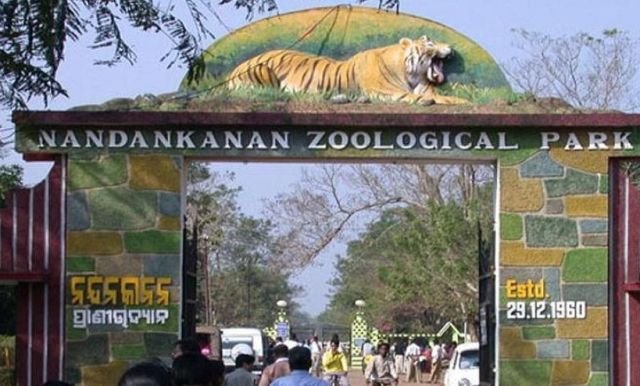 ଗୁଜୁରାଟ ଚିଡ଼ିଆଖାନାରୁ ନନ୍ଦନକାନନ ଆସିବେ ୧୯ ଜୀବଜନ୍ତୁ