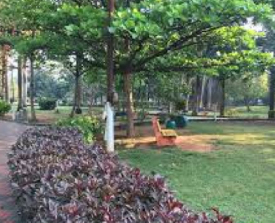 ଶନିବାର ଓ ରବିବାର ଦିନସାରା ଖୋଲା ରହିବ ସବୁ ପାର୍କ 