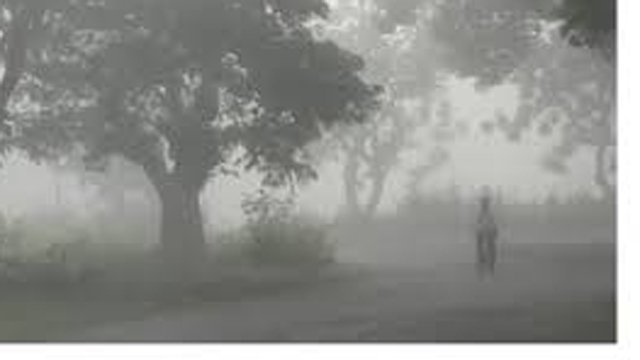 ଓଡ଼ିଶାରେ ହାଡ଼ଭଙ୍ଗା ଶୀତ : ୮ଟି ସ୍ଥାନରେ ୧୦ ଡିଗ୍ରୀ ତଳେ ପାରଦ