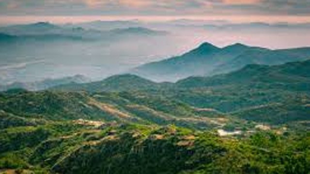 ଅନ୍‌ଲାଇନରେ ଆରାବଳୀ ବଞ୍ଚାଅ ନାରା