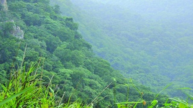 ଜାଡରେ ଥରୁଛି ଓଡିଶା, ଶିମିଳିପାଳରେ ‘ଶୂନ’ ତାପମାତ୍ରା