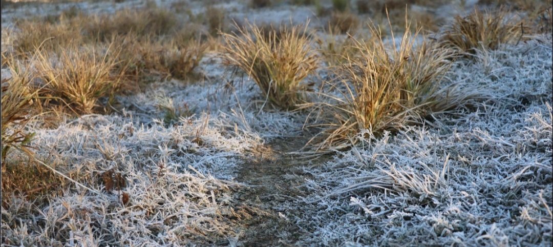  -୧ ଡିଗ୍ରୀରେ ପହଞ୍ଚିଲା ଶିମିଳିପାଳ ତାପମାତ୍ରା