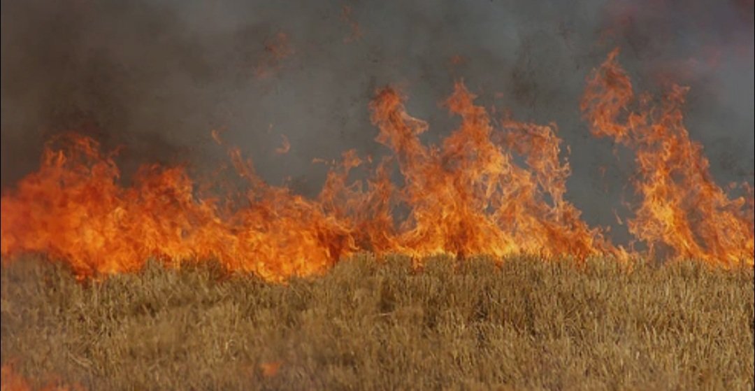 ବିଜୁ ପଟ୍ଟନାୟକ ଅନ୍ତର୍ଜାତୀୟ ବିମାନବନ୍ଦର ପଡ଼ିଆରେ ଅଗ୍ନିକାଣ୍ଡ 