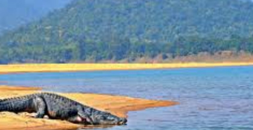 ସାତକୋଶିଆରେ ହେବ ବିଶ୍ବସ୍ତରୀୟ ଇକୋ ଟୁରିଜିମ୍ ହବ୍, ୧୦୦ କୋଟି ଟଙ୍କାର ପ୍ରକଳ୍ପକୁ ମଞ୍ଜୁରୀ