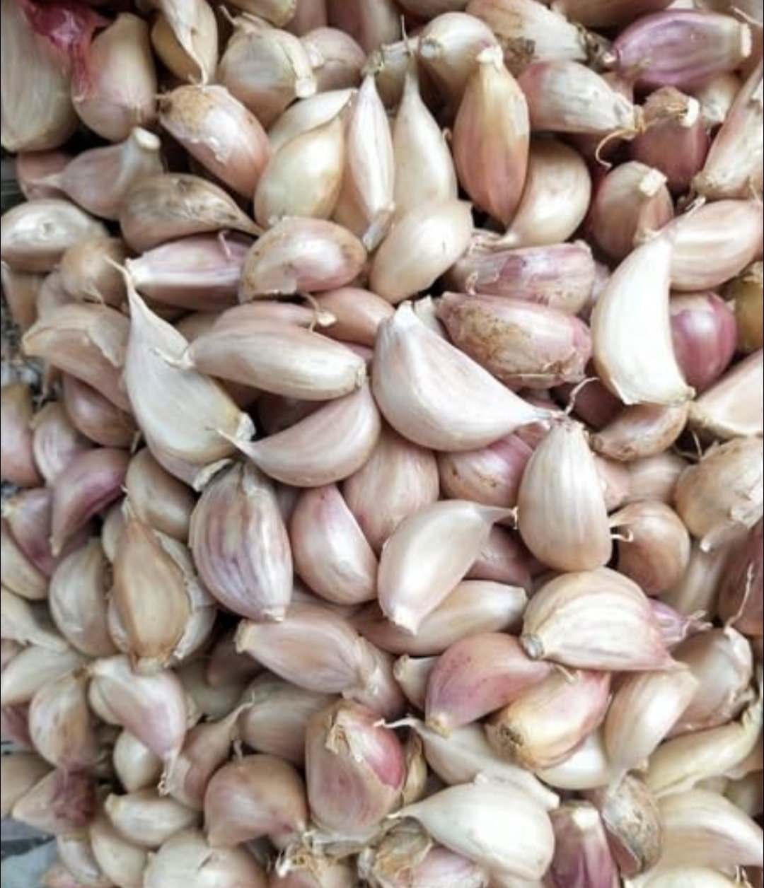 ହୃଦୟ ପାଇଁ ବହୁତ ଲାଭଦାୟକ ରସୁଣ 