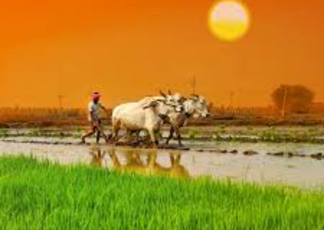 କୃଷି ଓ ଆନୁଷଙ୍ଗିକ କ୍ଷେତ୍ର ନିମନ୍ତେ ୪୨, ୪୯୨ କୋଟି ଟଙ୍କାର ବଜେଟ ଅଟକଳ 