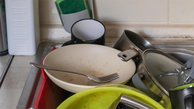 ବାସନ ମାଜିଲାନି ବୋଲି ପୁଲିସ ଡାକିଲା ସ୍ତ୍ରୀ