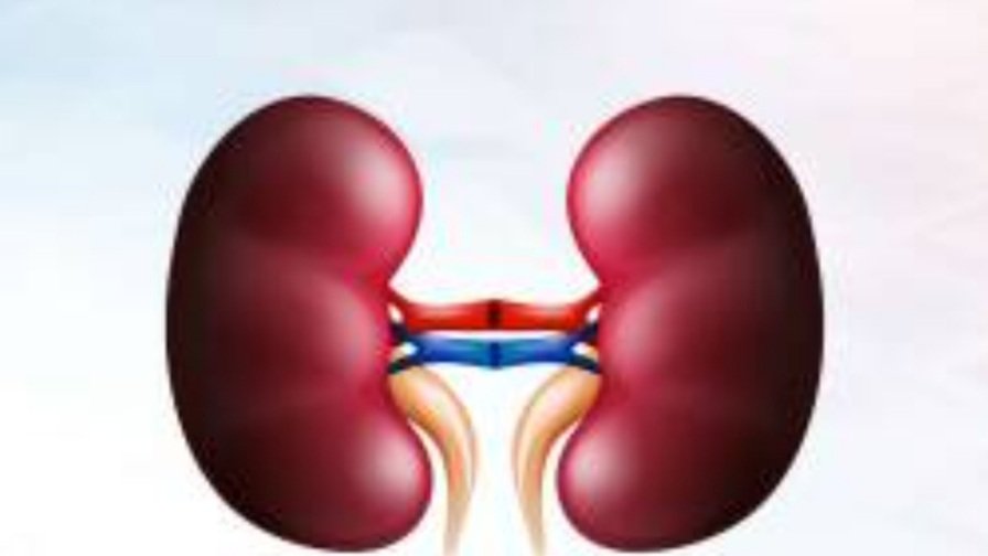 କିଡ୍‌ନୀକୁ ସୁସ୍ଥ ରଖିବାର ଉପାୟ ଜାଣନ୍ତୁ....