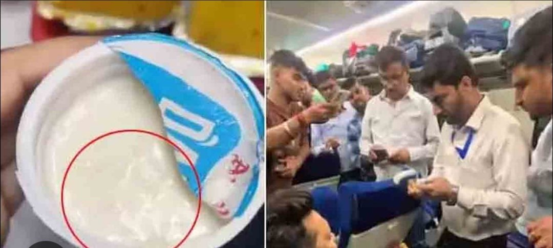 ବନ୍ଦେ ଭାରତ ଯାତ୍ରୀଙ୍କ ଦହି ପ୍ୟାକେଟରେ ପୋକ, ୫୦ ଲକ୍ଷ ଟଙ୍କାର ଜୋରିମାନା ଲାଗୁ