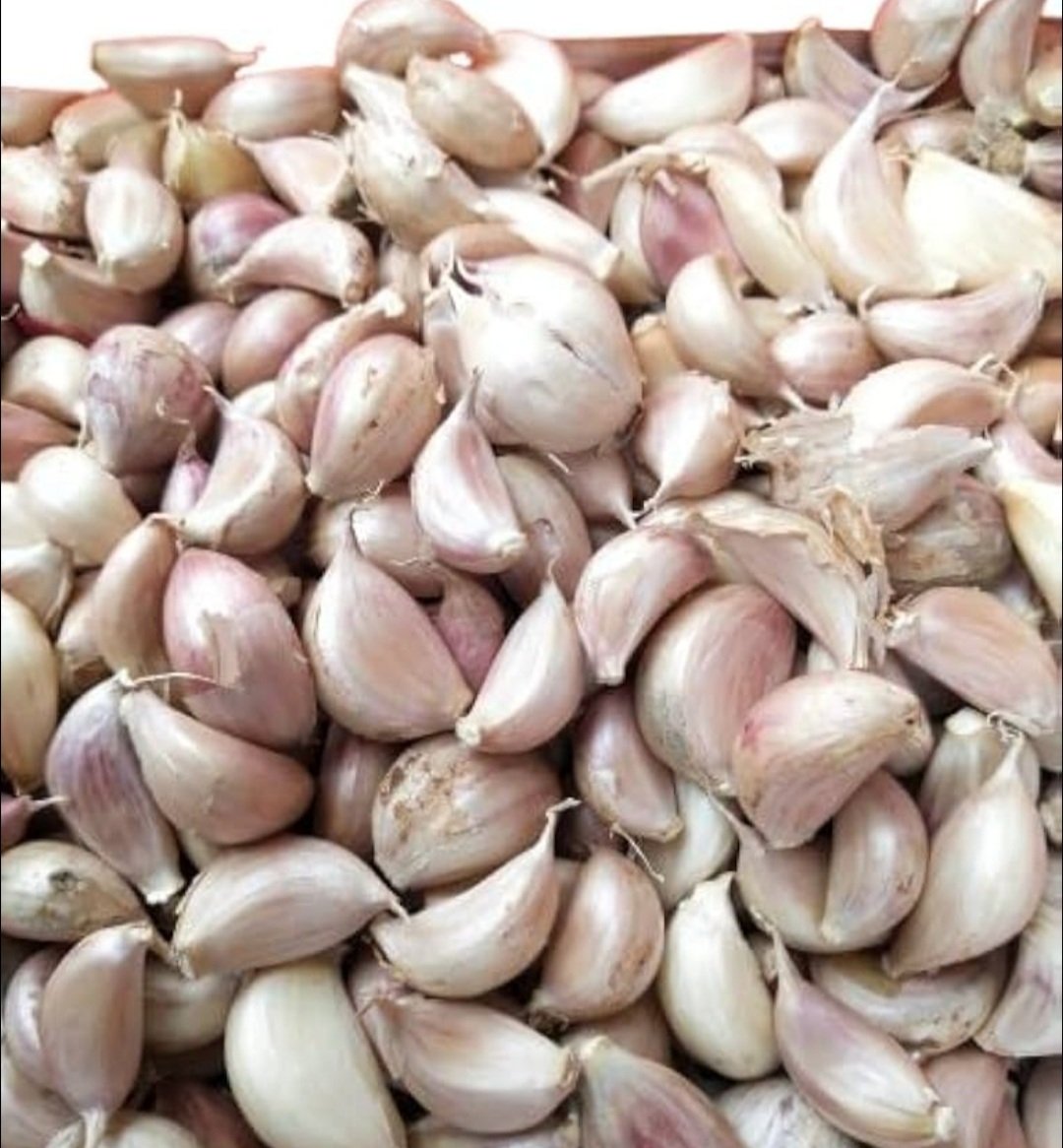 ପ୍ରତିଦିନ ଦୁଇଟି ରସୁଣ ପାଖୁଡା ଖାଆନ୍ତୁ, ଚମତ୍କାର ଦେଖନ୍ତୁ 