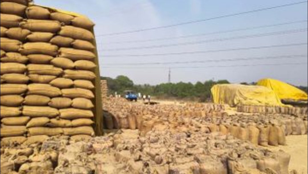 ଜଣେ ବି ଚାଷୀର ଧାନ ରହିବ ନାହିଁ, ସବୁ ଧାନକୁ ସରକାର କିଣିବେ: ମନ୍ତ୍ରୀ 