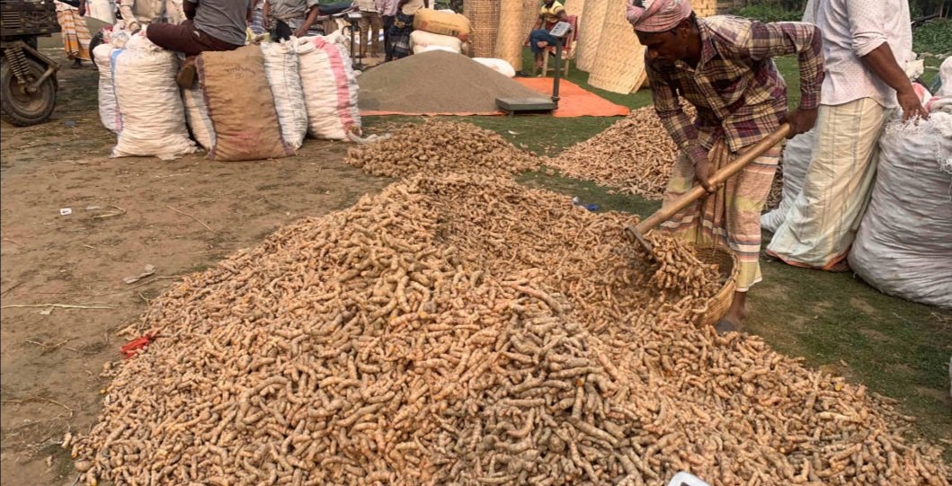  ଜିଆଇ ଟ୍ୟାଗ ମାନ୍ୟତା ଦାବି, ଔଷଧୀୟ ଗୁଣରେ ଭରପୁର କୋରାପୁଟ ହଳଦୀର ଚାହିଦା 