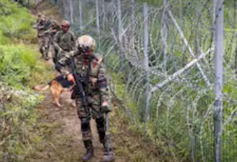 ସୁରକ୍ଷା ପାଇଁ ସୀମାରେ ଛଡା ହେବେ ବିଷାକ୍ତ ସାପ, ବିଛା ଓ କୁମ୍ଭୀର 