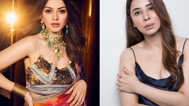 ନଣନ୍ଦଙ୍କ ନାଁରେ ୨ କୋଟି ଟଙ୍କାର ମାନହାନି ମାମଲା କଲେ ହଂସିକା