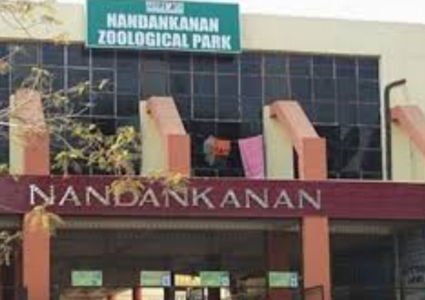 ନନ୍ଦନକାନନ ପ୍ରାଣୀ ଉଦ୍ୟାନ ପରିଚାଳନା ମୂଲ୍ୟାୟନ କରି ଫେରିଲେ କେନ୍ଦ୍ରୀୟ ଦଳ