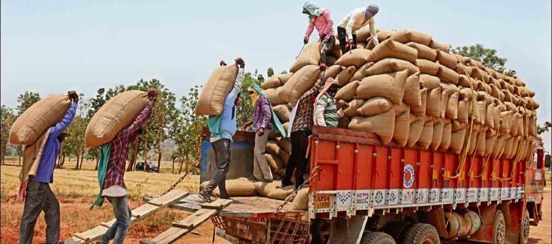 ମେ’ ପହିଲାରୁ ରବି ଧାନ କିଣିବେ ସରକାର