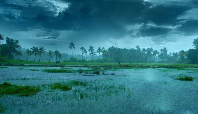 ମେ’ ଶେଷ ସପ୍ତାହ ଆଡ଼କୁ ପହଞ୍ଚିପାରେ ମୌସୁମୀ !