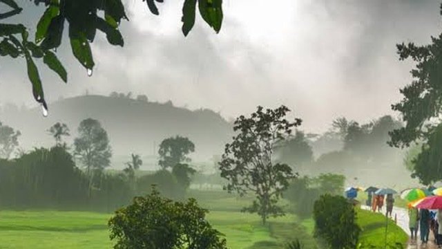 ୨ରୁ ରାଜ୍ୟରେ ଲଘୁଚାପ, ଅଧିକ ବର୍ଷା ସମ୍ଭାବନା