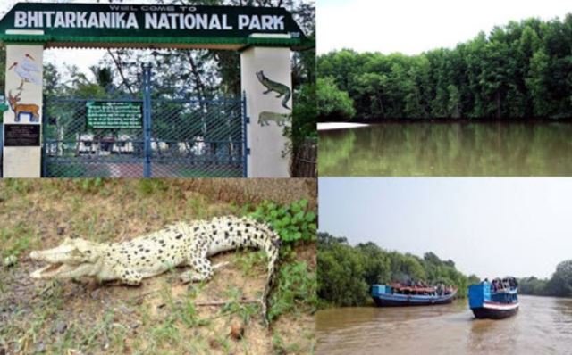 ୫ରୁ ଖୋଲିବ ଭିତରକନିକା : କିନ୍ତୁ ରାତ୍ରି ଯାପନ କରିପାରିବେନି ପର୍ଯ୍ୟଟକ