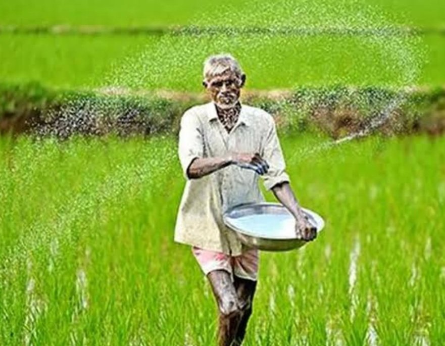 ଲ୍ୟାମ୍ପ୍‌ସରୁ ସାର୍ ପାଇବା ପାଇଁ କ୍ୟୁଆର୍ କୋଡ୍ ସାଜିଛି ପ୍ରତିବନ୍ଧକ
