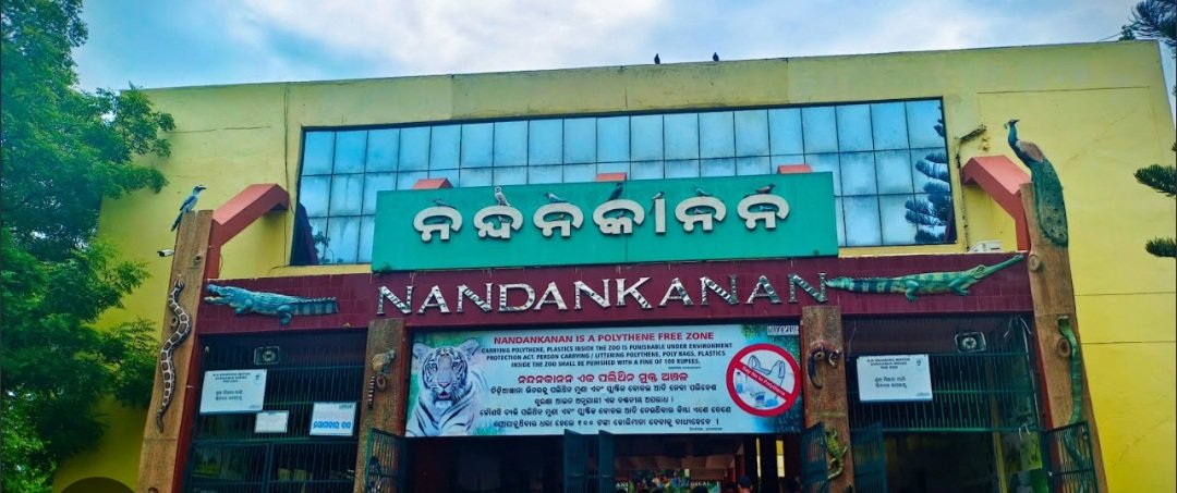 ପ୍ରଥମ କରି ମା ହେଲା ସିଂହୀ ମାୟା