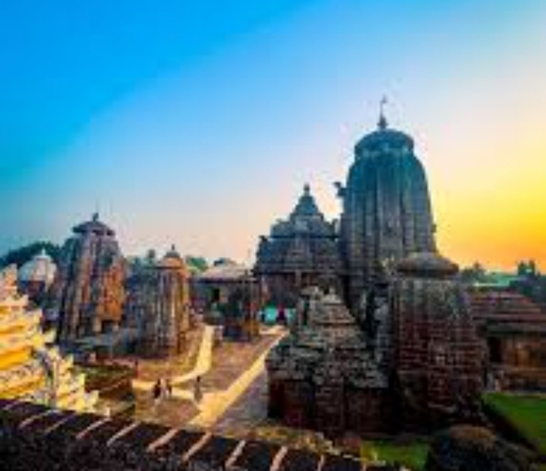  ପୂଜାପଣ୍ଡା ଓ ବ୍ରାହ୍ମଣ ନିଯୋଗଙ୍କ ବିଭ୍ରାଟ,  ଶ୍ରୀଲିଙ୍ଗରାଜଙ୍କ ନୀତି ବନ୍ଦ 
