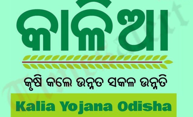 ନୂଆଁଖାଇରେ ‘କାଳିଆ’ ସହାୟତା ଭେଟି