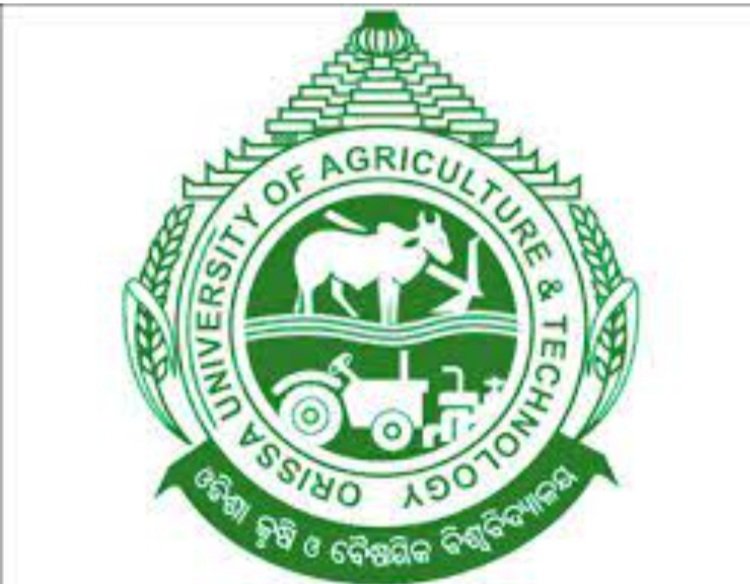 ୨୮ରୁ ଆରମ୍ଭ ହେବ ଓୟୁଏଟି ୟୁଜି ପ୍ରବେଶିକା ପରୀକ୍ଷା