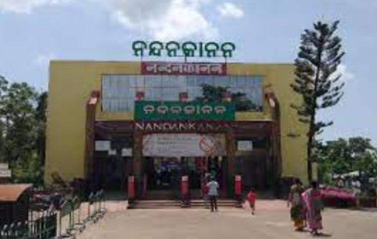 ୮ରୁ ନନ୍ଦନକାନନରେ ଚାଲିବ ଟୟ ଟ୍ରେନ୍‌