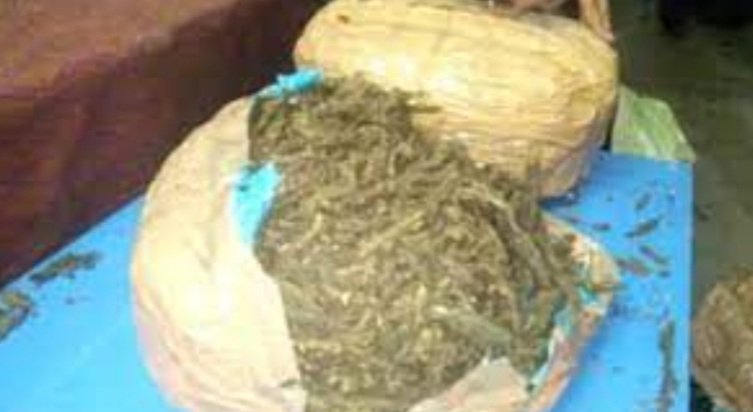 ଗଞ୍ଜେଇ ମାଫିଆଙ୍କ ବେନାମି ସମ୍ପତ୍ତି ଜବତ