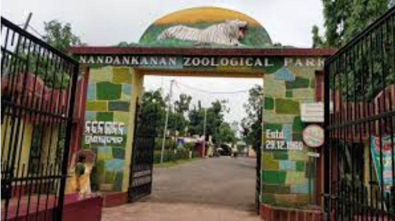 ଆଜି ଉଦଘାଟିତ ହେବ ଟଏଟ୍ରେନ