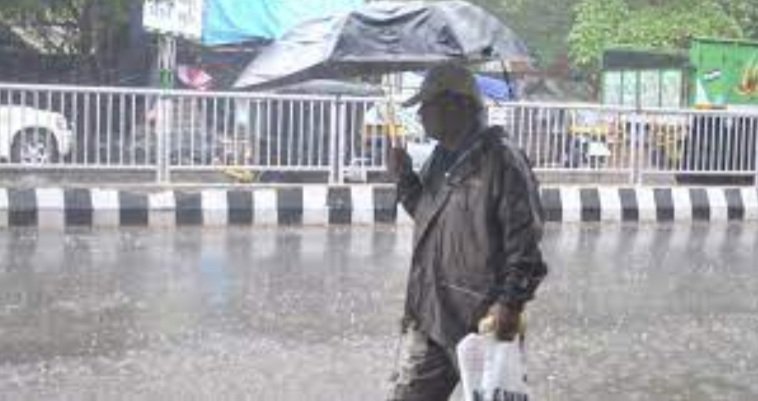 ଲଘୁଚାପ ବର୍ଷା,  ଏହି ୭ଟି ଜିଲ୍ଲା ପାଇଁ ୟେଲୋ ୱାର୍ଣ୍ଣିଂ ଜାରି