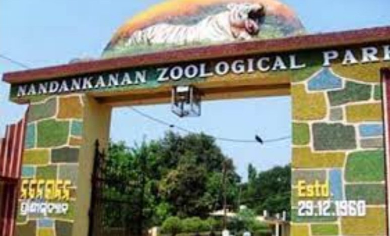 ମା’ ହେବାକୁ ଯାଉଛି ଧଳା ବାଘୁଣୀ ‘ମୌସୁମୀ’