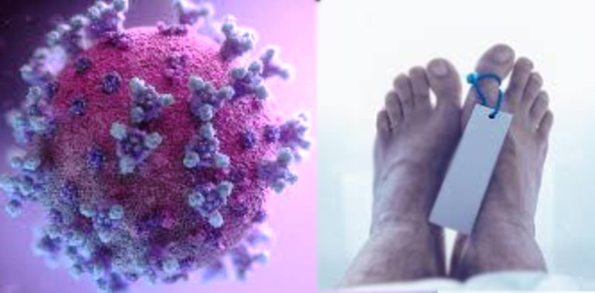  ରାଜ୍ୟରେ କରୋନା ନେଲା ୭ ଜୀବନ