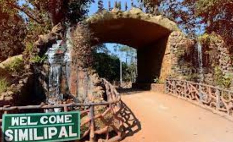 ନଭେମ୍ବର ପହିଲାରୁ ଖୋଲିବ ଶିମିଳିପାଳ