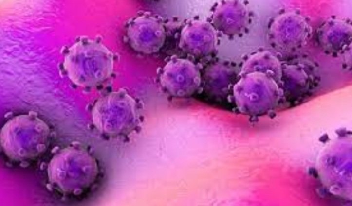 ଠାବ ହେଲା ନୂଆ ଭାଇରସ, ଜାଣନ୍ତୁ କେଉଁଠି ?