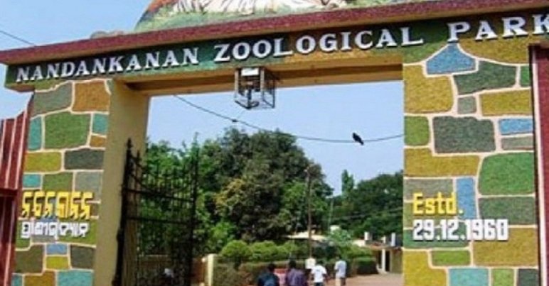 ଆଜିଠୁ ୫ଦିନ ନନ୍ଦନକାନନ ବନ୍ଦ