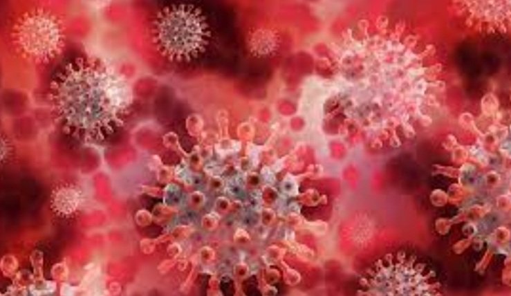 ଡିସିପି ଅଫିସ୍ ସିଲ୍ କଲା ବିଏମସି