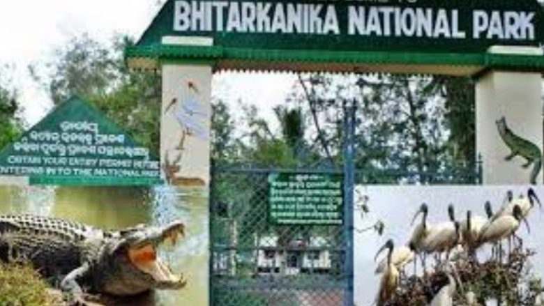 ଖୋଲିଲା ଭିତରକନିକା